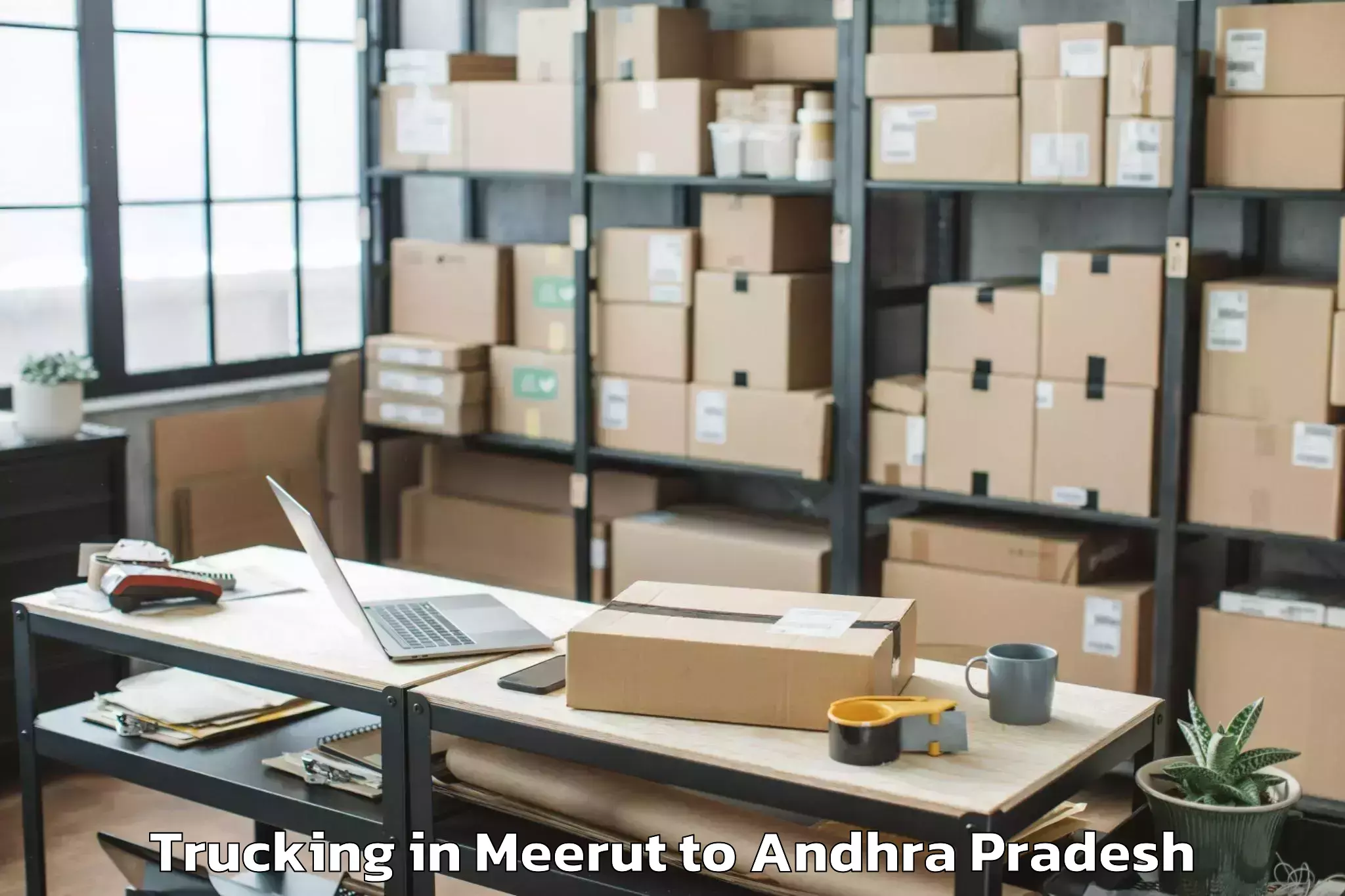 Hassle-Free Meerut to Tadepallegudem Trucking